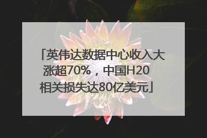 英伟达数据中心收入大涨超70%，中国H20相关损失达80亿美元